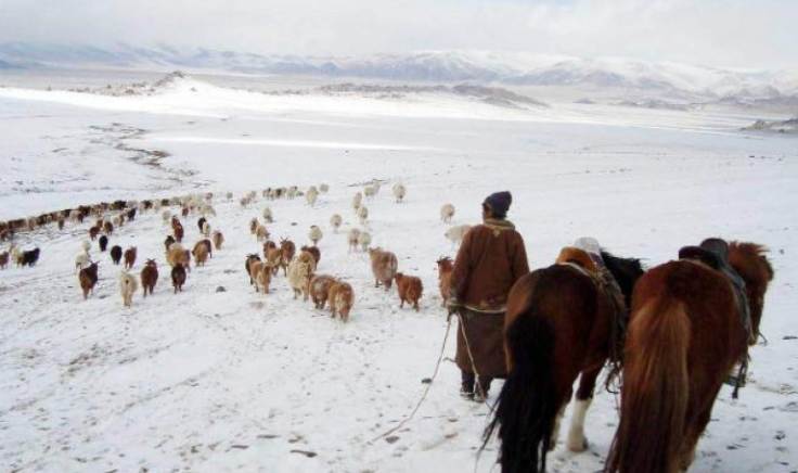 Ирэх 10 хоногийн цаг агаарын урьдчилсан төлөв